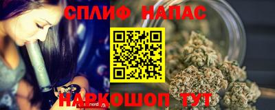 стафф Донецк